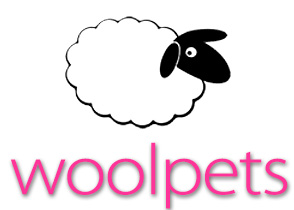 Needle Felting Wool Pet Kits